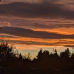 PXL_20211105_005004472.MP